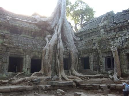 [Cambodia+-+Ta+Phrom+the+tree.JPG]