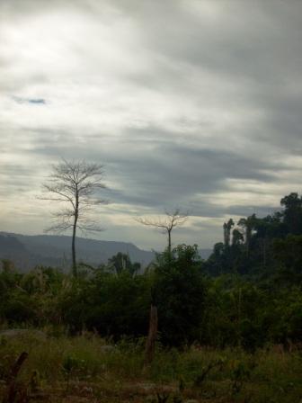 [Cambodia+-+Kbal+Spean+view+of+trees.JPG]