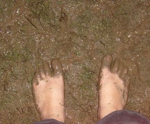 [St+Georges+Day+-+muddy+feet.JPG]