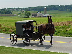 [Amish+County.jpg]
