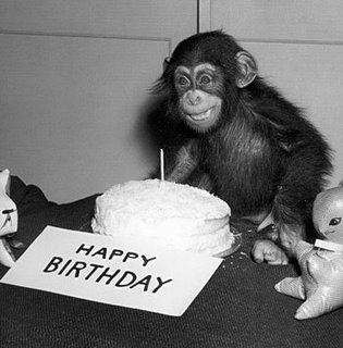 [Birthday+Monkey.jpeg]