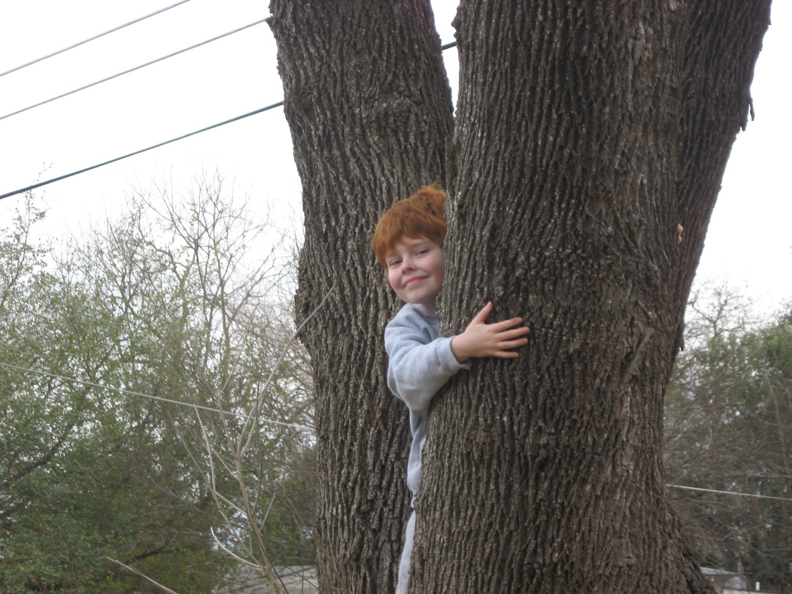 [max+in+the+tree.JPG]