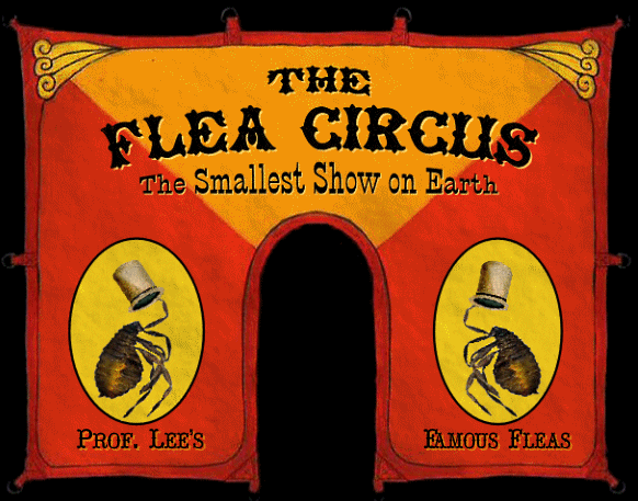 [flea+circus.gif]