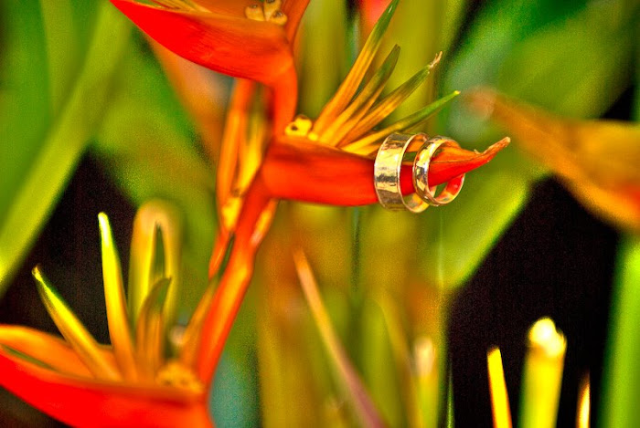 HDR of rings and Birds of Paradise
