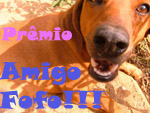 [Amigo+fofo.jpg]