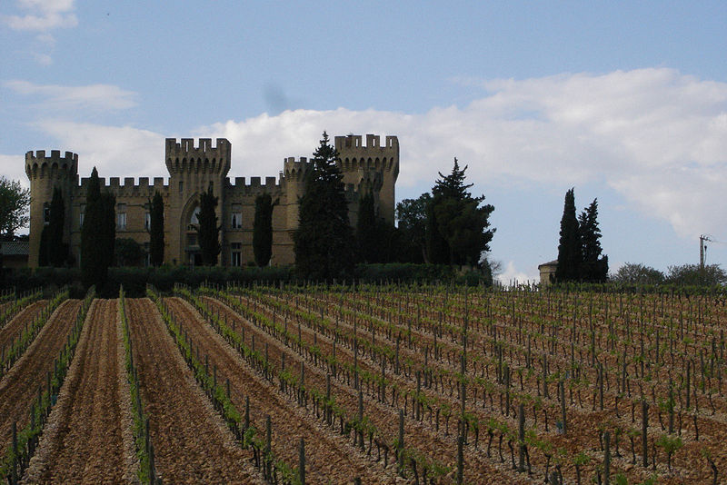 [Chateauneuf-vineyard-castle.jpg]