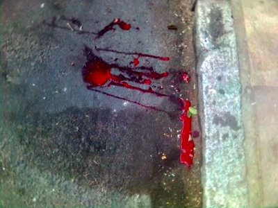 [Sangue+no+asfalto+28-05-07_1704.jpg]