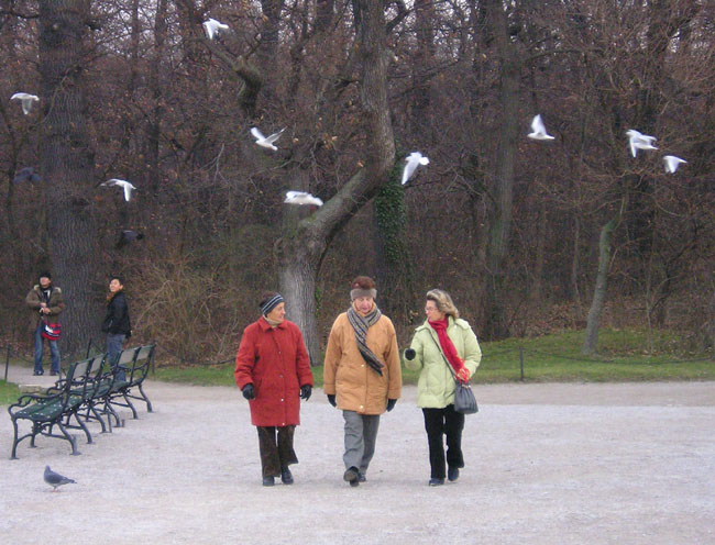 [people+birds+schonbrunn.jpg]