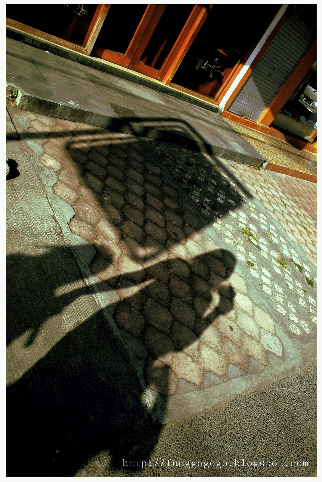 [shadow-1.jpg]