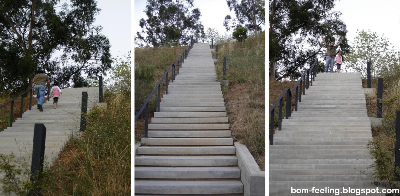 [escadaria+parque+urbano+albarquel.jpg]