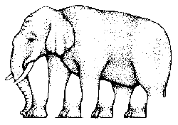 [Elephant.gif]