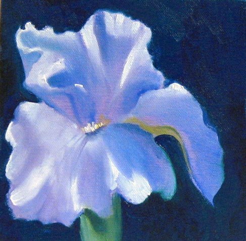[Lavender+Blue+Iris.jpg]
