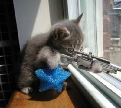 [cat+snipper.jpg]