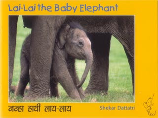 lai-lai-the-baby-elephant.jpg