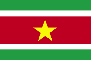 [Suriname-flag1.gif]