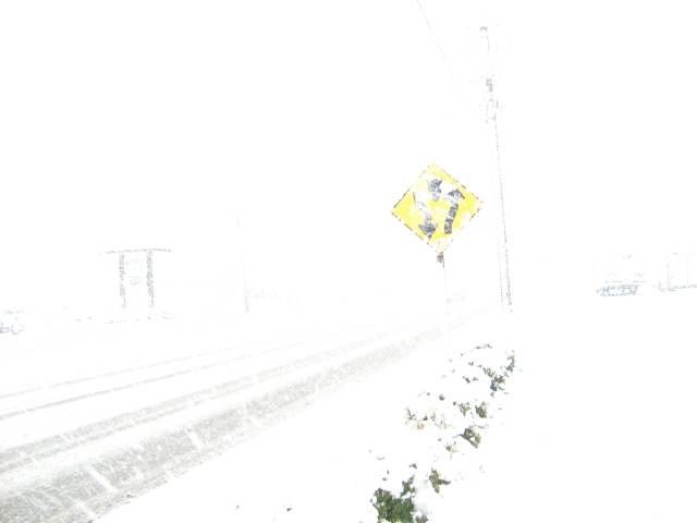 [Snowwalk-06.jpg]