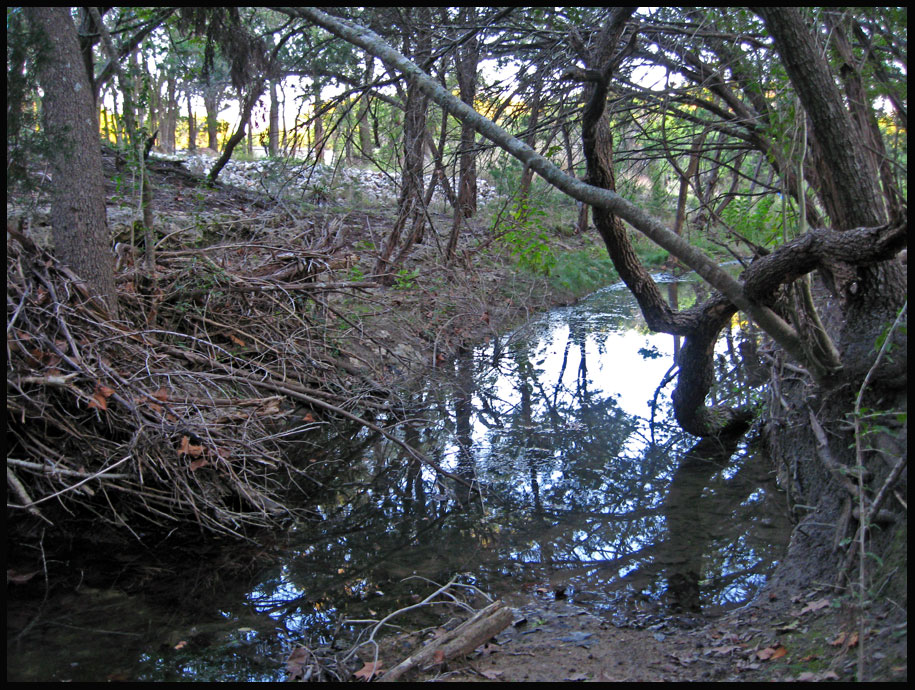 [cottonwood-creek.jpg]