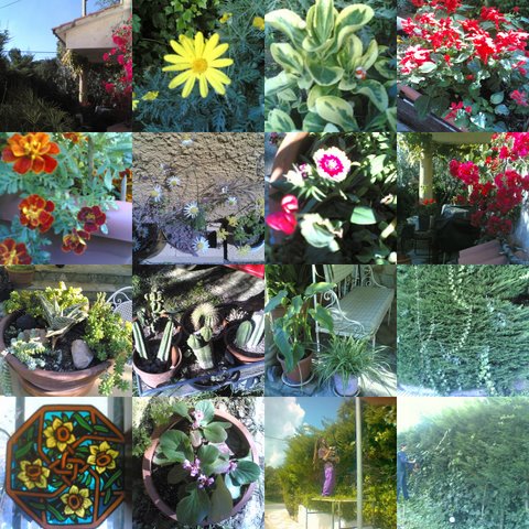 [collage+jardí+s'agaró.jpg]