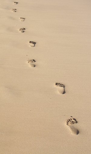 [Footprints_by_lauperr.jpg]