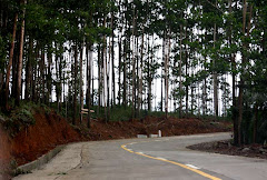 Abuyog Silago Road