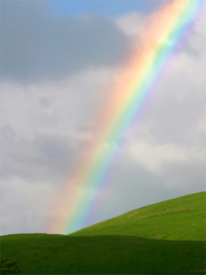 [matamata-rainbow.jpg]