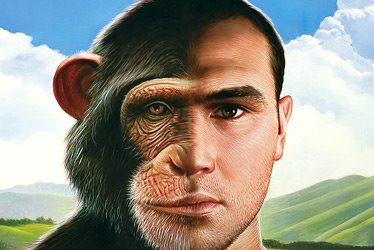 [homem+chimp.bmp]