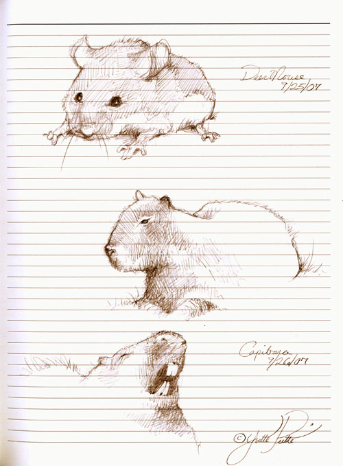[mouse.capybara.s.w.jpg]