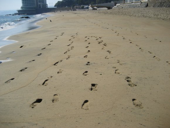 [footsteps.jpg]