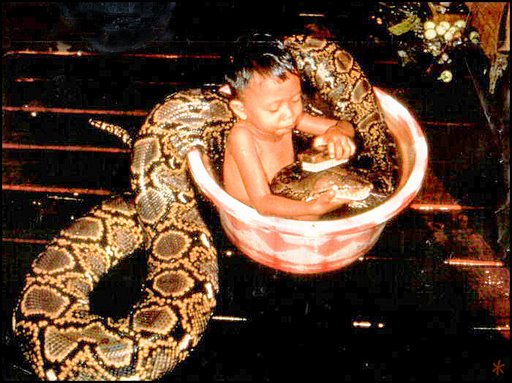 [Baby_-_Kid_washes_the_snake.jpg]