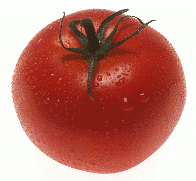 [tomato.png]