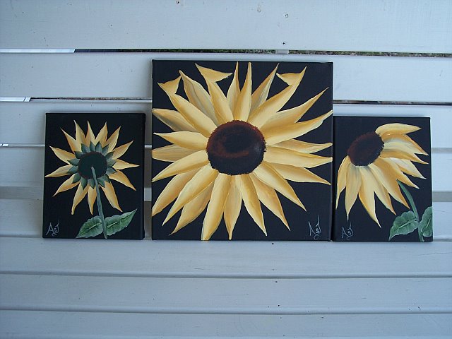[61+Sunflower+Trio+2-6-08.jpg]