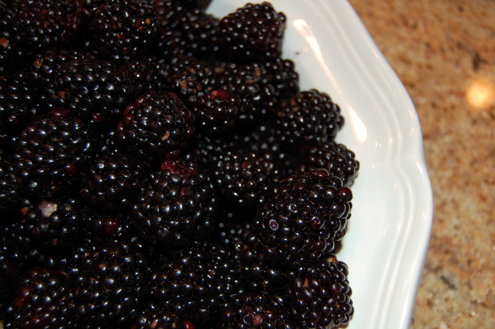 [blackberry+pie+016.jpg]