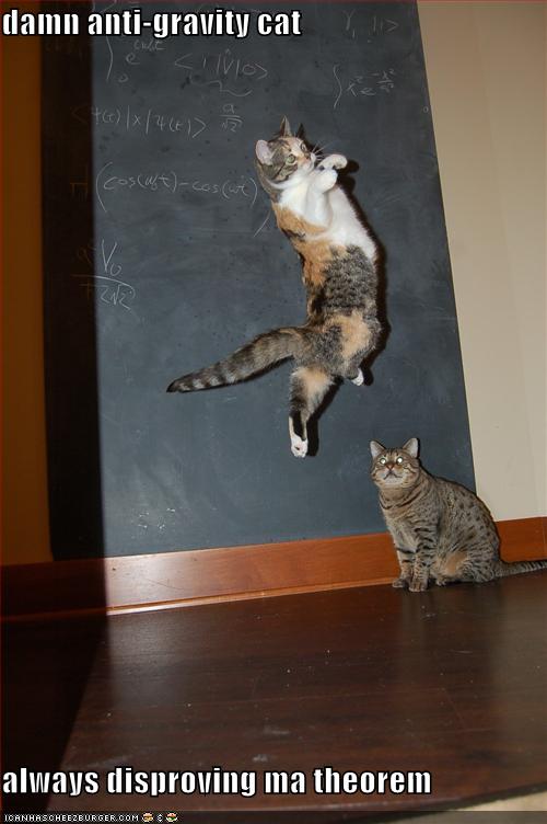 [funny-pictures-anti-gravity-cat-chalkboard.jpg]