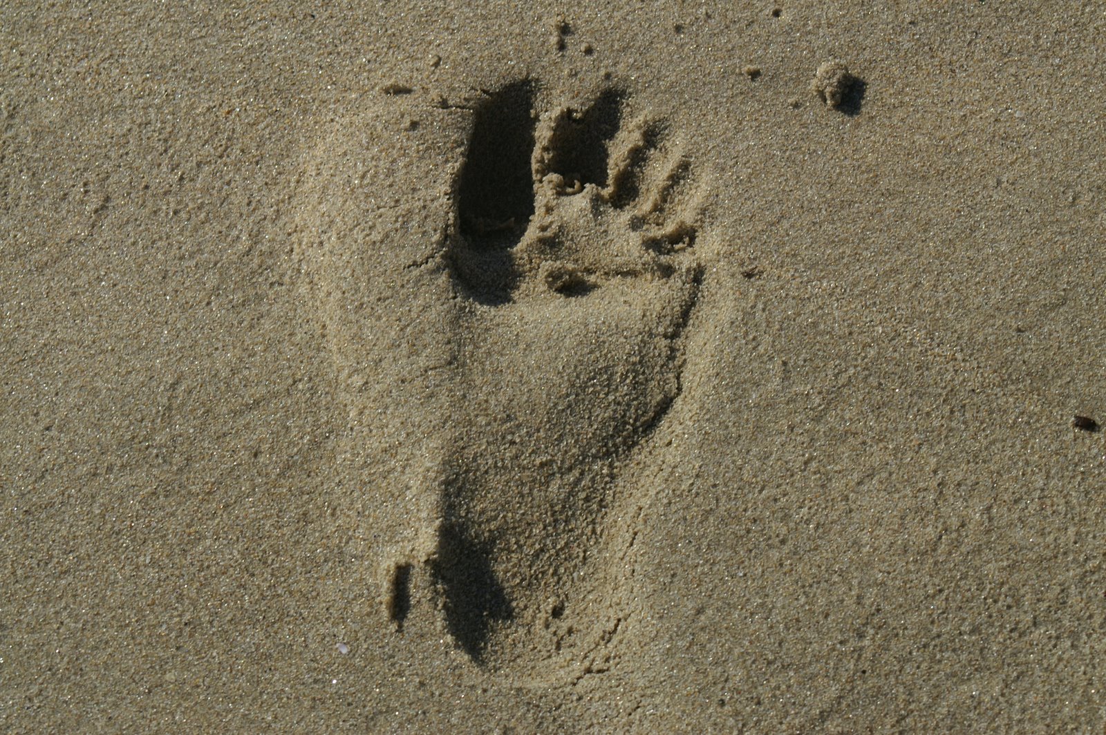 [Footprint.JPG]