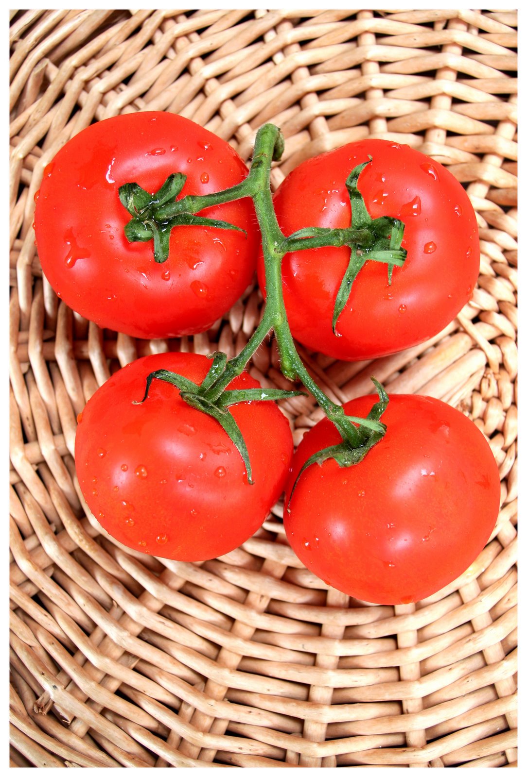 [Tomates+blog.jpg]