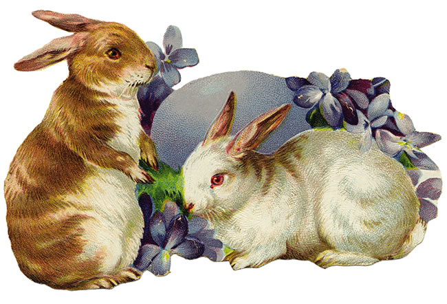 [victorian+bunnies.jpg]