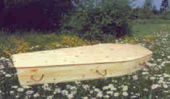 [eco-coffin.jpg]