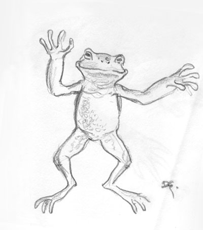 [Frog.jpg]