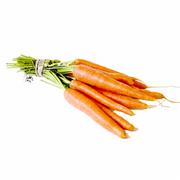 [carrots1.jpg]