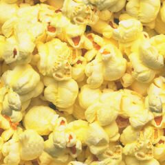 [popcorn.bmp]