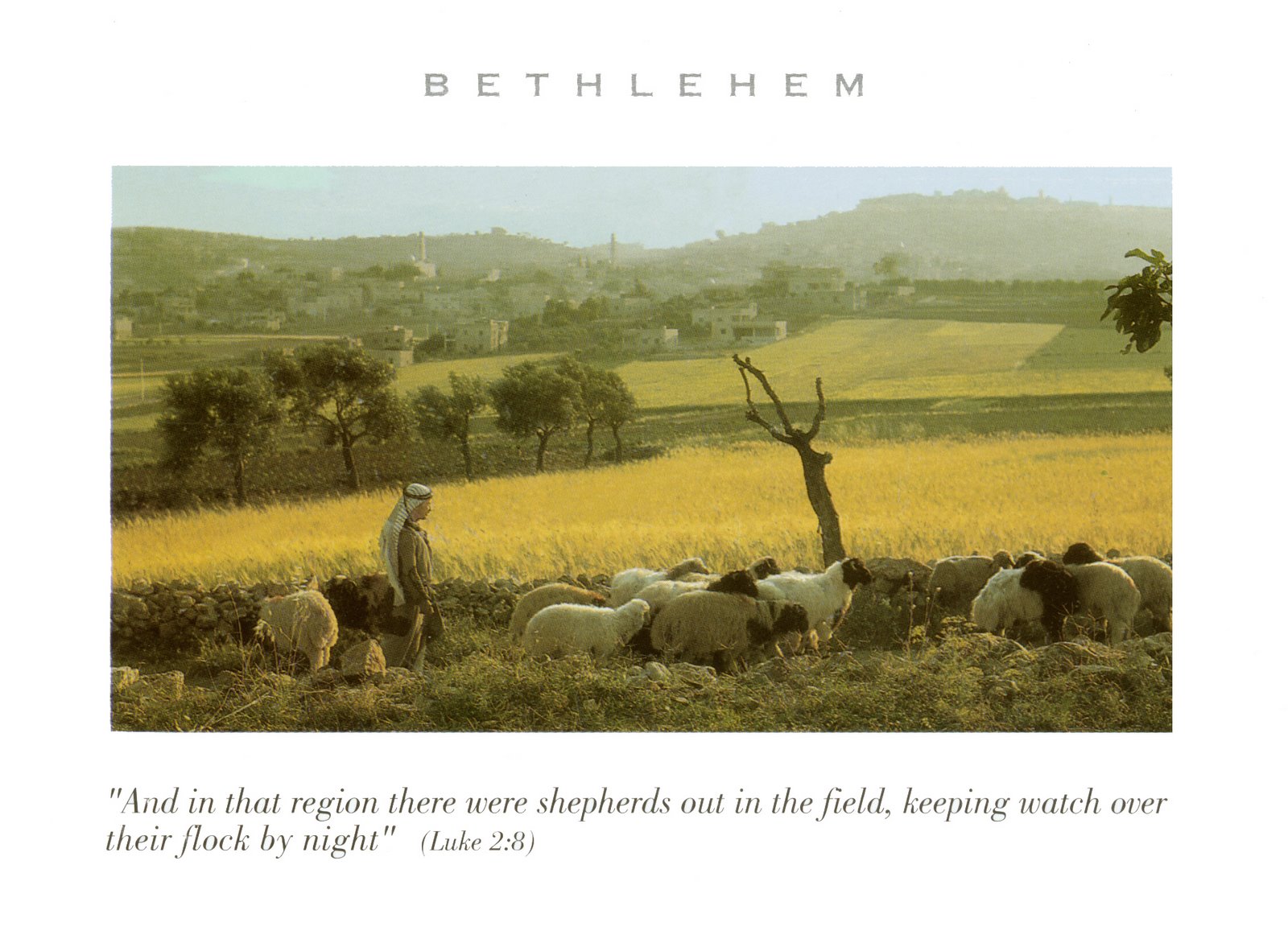 [2007+Bethlehem+Christmas+card+copy.jpg]