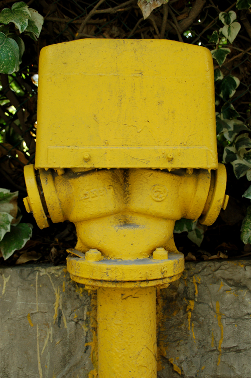 [hydrant.jpg]
