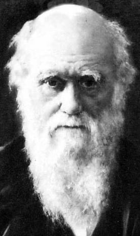 [Darwin+portrait.JPG]