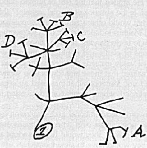 [Darwin.diagram.JPG]