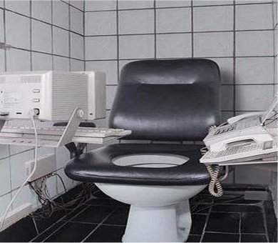 [toilet+seat1.jpg]