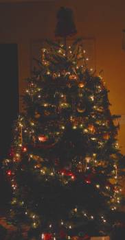 [Christmas+Tree+2006+r.jpg]
