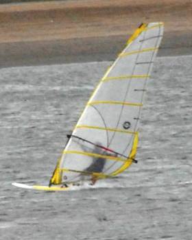 [windsurfer+r.jpg]