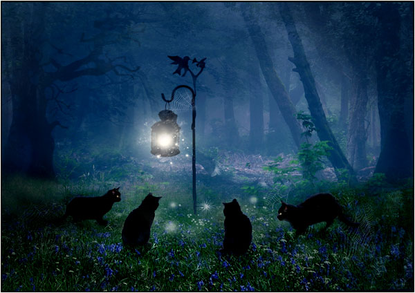 [The+Witches+cats+crop+5x7+.jpg]