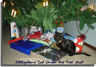 Obligatory Cat-Under-The-Tree shot