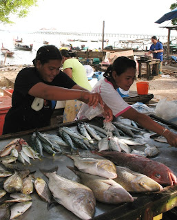 Selling fresh fish at Rawai beach